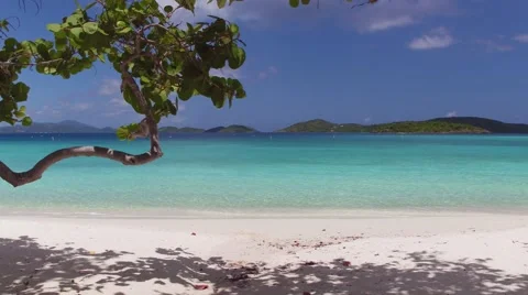 Panning view of Scott Beach, Caneel Bay, St John 库存影片 67334898