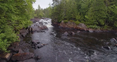 Panning view of a stream in the middle of a forest  Stock Footage 114849461