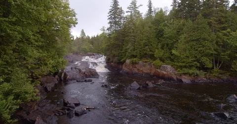 Panning view of a stream in the middle of a forest  Stock Footage 114851973