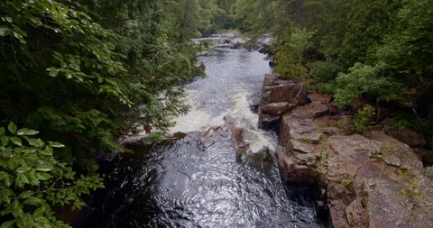Panning view of a stream in the middle of a forest  Stock Footage 114854357