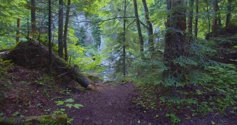 Panning view of a stream in the middle of a forest  库存影片 114870537