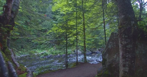 Panning view of a stream in the middle of a forest forest  Stock Footage 114872753