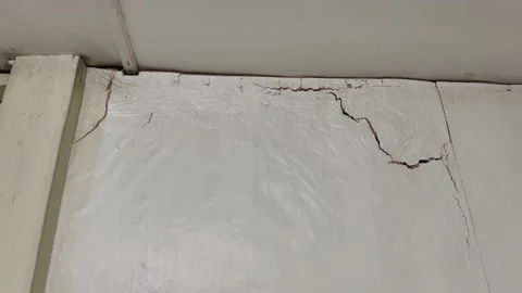 Panning view of the termites damage on the house wall 動画素材 212309947