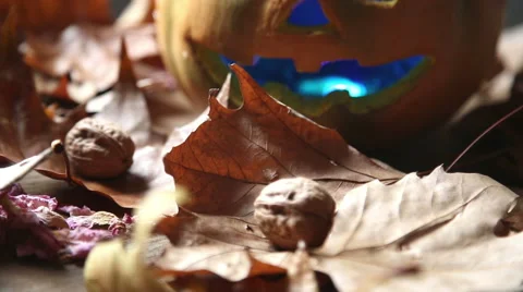 Panning  of walnuts, through leaves arriving on pumpkin Stock-Footage 55844635