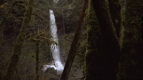 Panning on a waterfall from behind a tree Video stock 109247582
