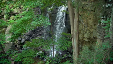 Panning Waterfall Deep in the Forest Video stock 246378907
