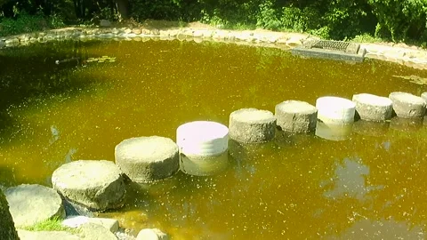 Panning wiev of a stone column pathway acros algae covered spring pond. Stock Footage 314979209
