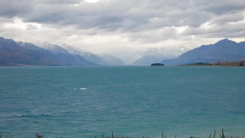 Panning up at windy plants then looking out at choppy lake, New Zealand. Stock Footage 260775904