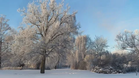 Panning of winter landscape Stock Footage 257824575