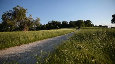 Pano country road marche Stock Footage