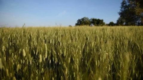 Pano countryside of marche Stock Footage 76169190