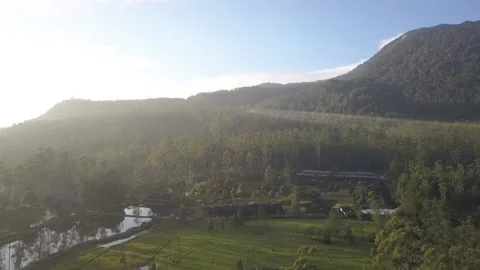 Panocamic View Above Thick Forest With Trees On the morning Stock Footage 154484249