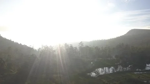 Panocamic View Above Thick Forest With Trees On the morning Stock Footage 154484258