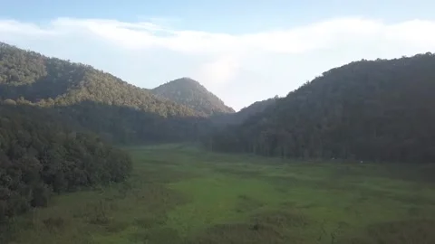 Panocamic View Above Thick Forest With Trees On the morning Stock Footage 154484265