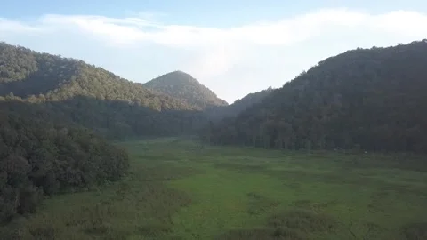 Panocamic View Above Thick Forest With Trees On the morning Stock Footage 154484285