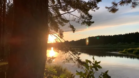 Panoram of sunset in the forest and river Vídeo Stock 296442197