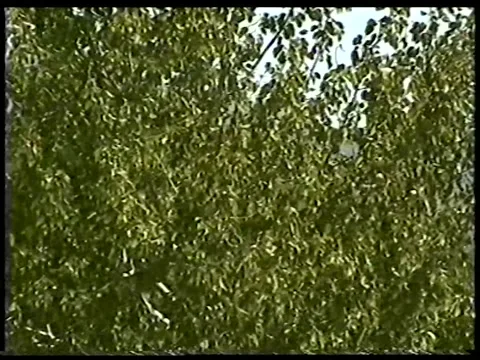 Panorama 2 Stock Footage 336524258