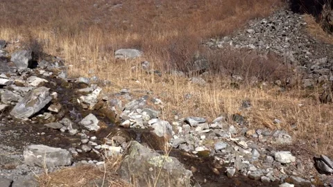 Panorama of the Altai Mountains Stock Footage 236221664