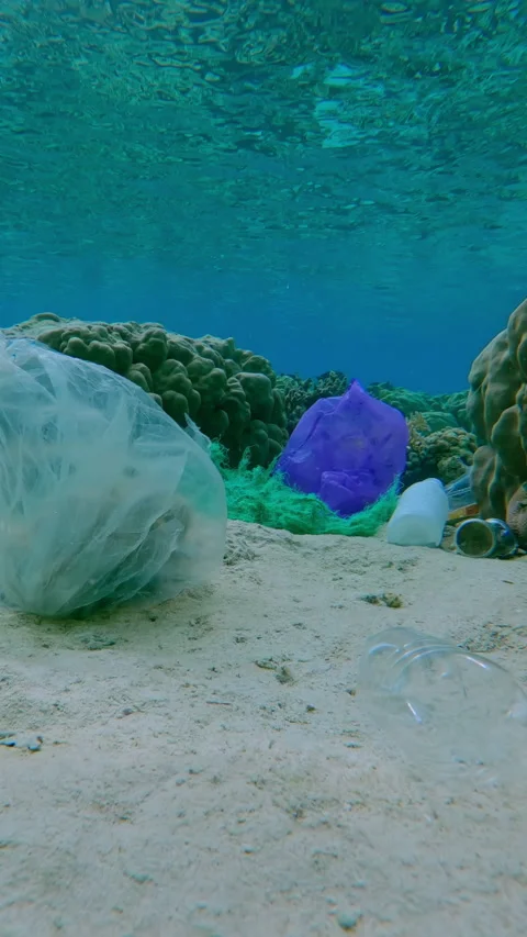 Panorama, among plastic waste lying on seabed between corals of flat-top on Stock Footage 345682104