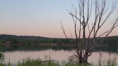 Panorama of artificial lake in the middle of the forest Stock Footage 134957754