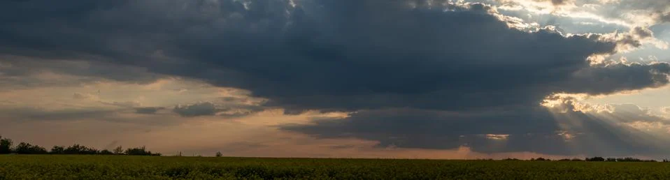Panorama background of dramatic cloud scape, morning mist over the field Stock Photos