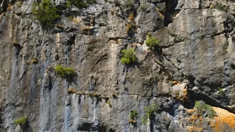 Panorama of a bare rocky cliff Stock Footage 241515805