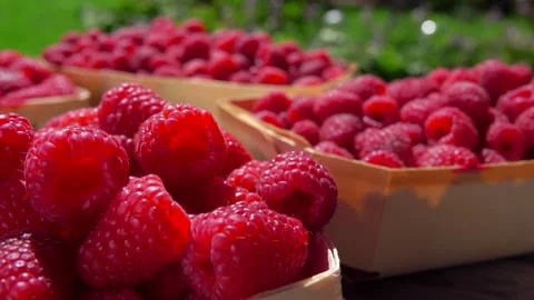 Panorama of the baskets full of large juicy raspberries on the wooden table Stock Footage 153465696