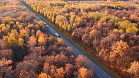 Panorama of a beautiful autumn forest with multi-colored leaves. Semi-trucks Stock Footage 164221685