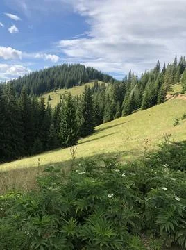 Panorama of beautiful cloudy landscape in mountains. grassy field and hills. Stock-Fotos