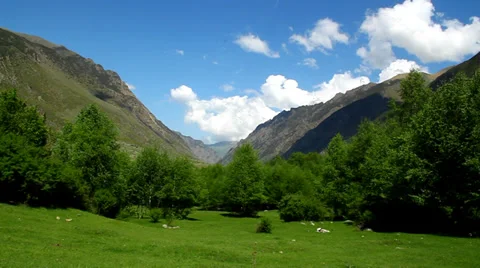 Panorama of beautiful mountain landscape, trees, blue sky Stock Footage 38729320