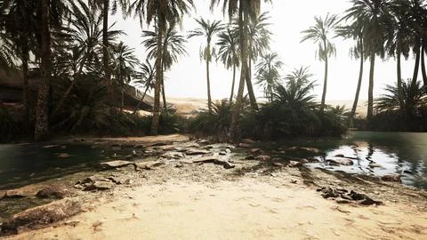 Panorama of Beautiful Oasis surrounded by sand dunes Stock Illustration