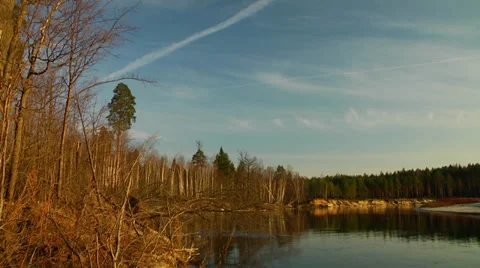 A panorama on the bend of a forest river warm spring evening Stock Footage 37368256