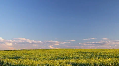 Panorama blue sky, clouds, green grass Stock-Footage 28623890