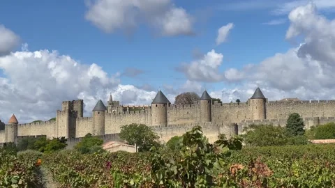 Panorama of Carcassonne 動画素材 228818231