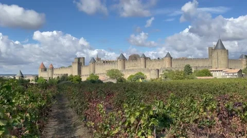 Panorama of Carcassonne Stock Footage 228818232