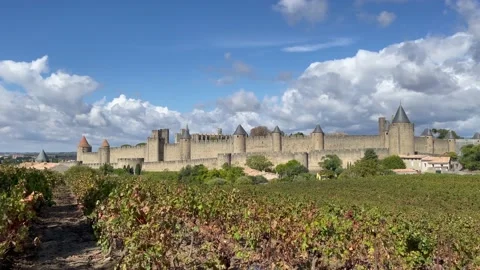 Panorama of Carcassonne Stock Footage 228818235
