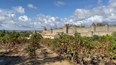 Panorama of Carcassonne Stock Footage 228818239