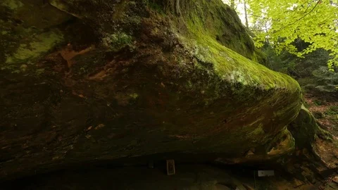 Panorama of Cave Under Piece of Rock in Forest Green Moss Nature in Cloudy Stock Footage 71633784