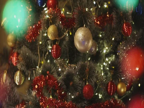Panorama Of Christmas Tree Stock Footage 75369691