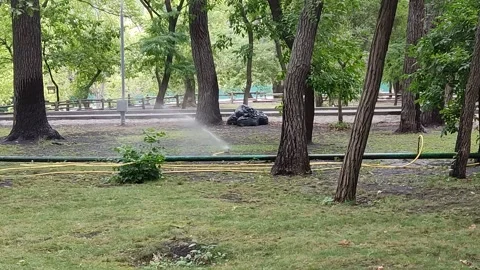 Panorama of the city park Stock-Footage 159249290