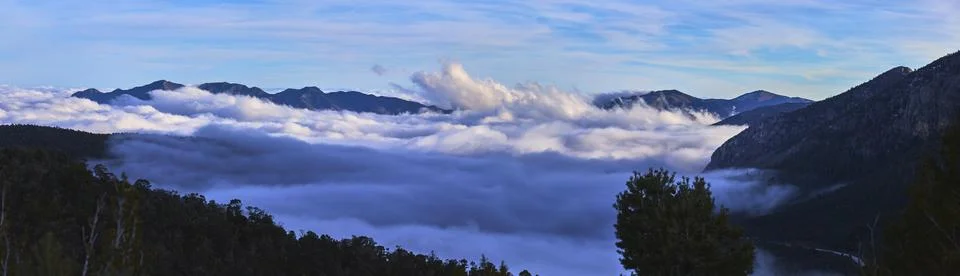 Panorama Cloud Layer Over Mt Charleston Forest and Mountain Landscape Nevada Stock Photos