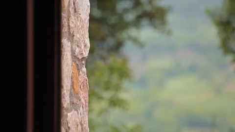 Panorama of the countryside Stock Footage 74464470