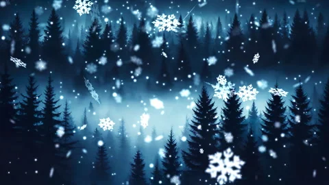 Panorama of dark winter forest under fairy snowfall Video stock 256712972