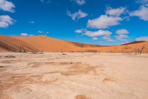 Panorama of the Deadvlei basin in Namibia Stock Photos