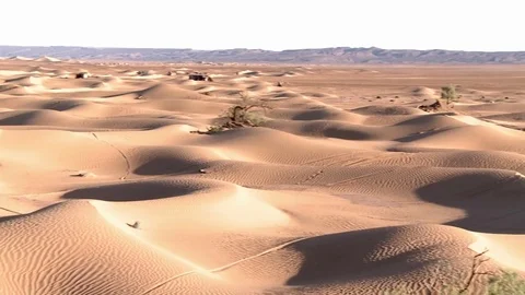 Panorama of desert dunes evening Stock Footage 76433464