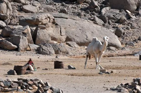 A panorama of a dry Arabian desert, buildings of local residents, sun haze, h Stock Photos