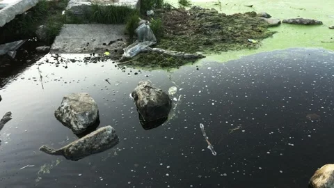 Panorama of a dying river Video stock 160564313