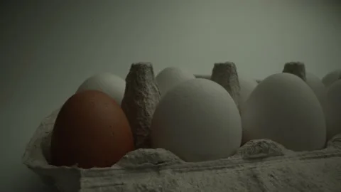 Panorama of eggs in the cell.One egg is different collor then another. White Stock Footage 130234328