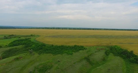 Panorama of extensive green fields and small villages Video stock 89684016