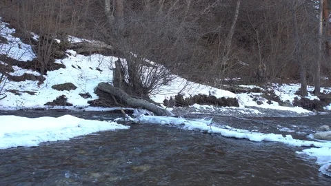 Panorama of fast-flowing mountain river Guloyhi Stock Footage 127218608